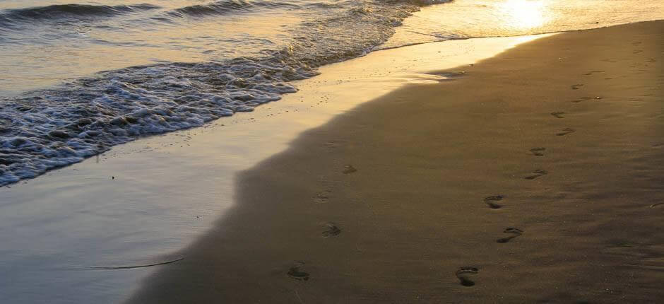 Playa de Maspalomas Playas populares de Gran Canaria