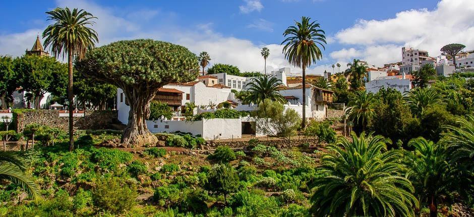 Parque del Drago Milenario – Tenerife – Centros turísticos