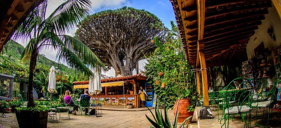 Parque del Drago Milenario – Tenerife – Centros turísticos