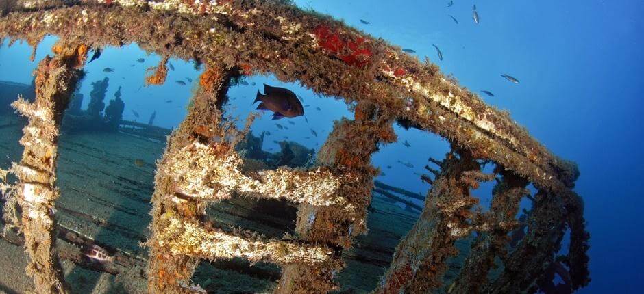 Pecios del Quíquere Submarinismo en Lanzarote