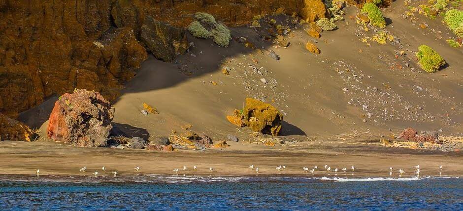 Playa de Antequera + Playas vírgenes