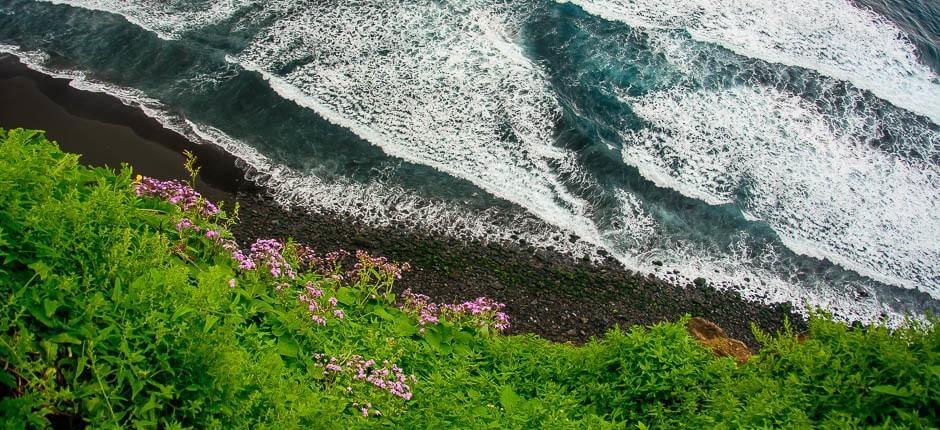 Playa de Los Patos. Playas vírgenes de Tenerife