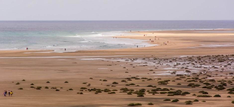 Kitesurf en playa de Sotavento Spots de kitesurf de Fuerteventura 