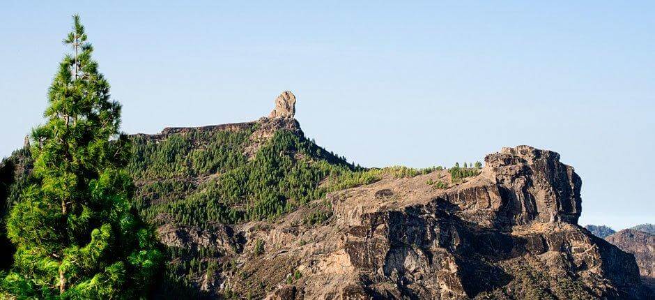 Roque Nublo. Senderos de Gran Canaria