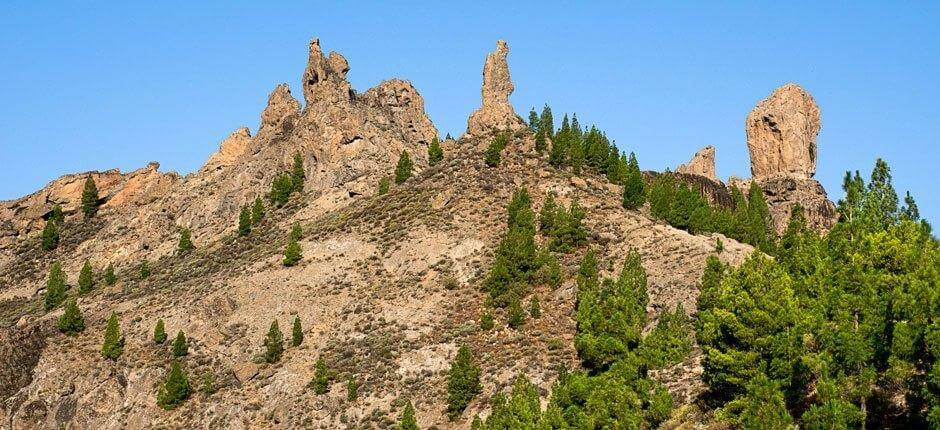 Roque Nublo. Senderos de Gran Canaria