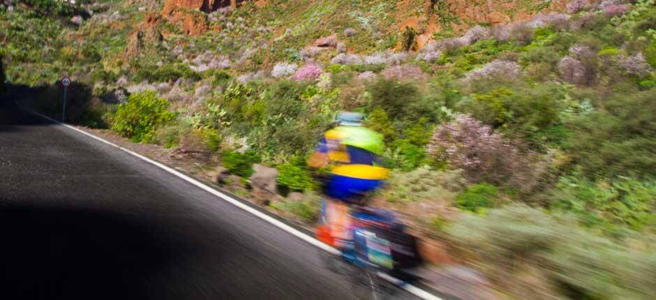 Ruta en bici del norte al centro de Gran Canaria Hola Islas Canarias