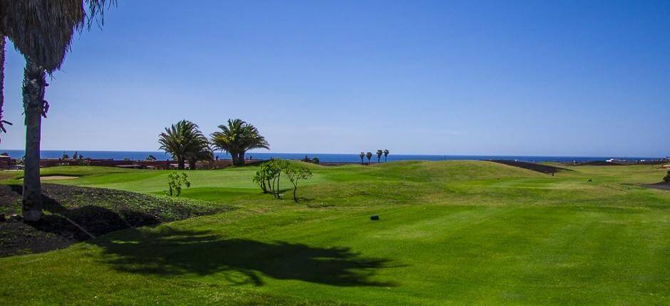 Golf Club Salinas de Antigua Campos de golf de Fuerteventura