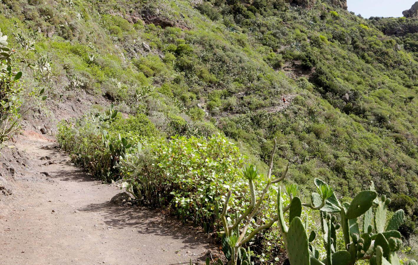 Santa Cruz de Tenerife-Trail