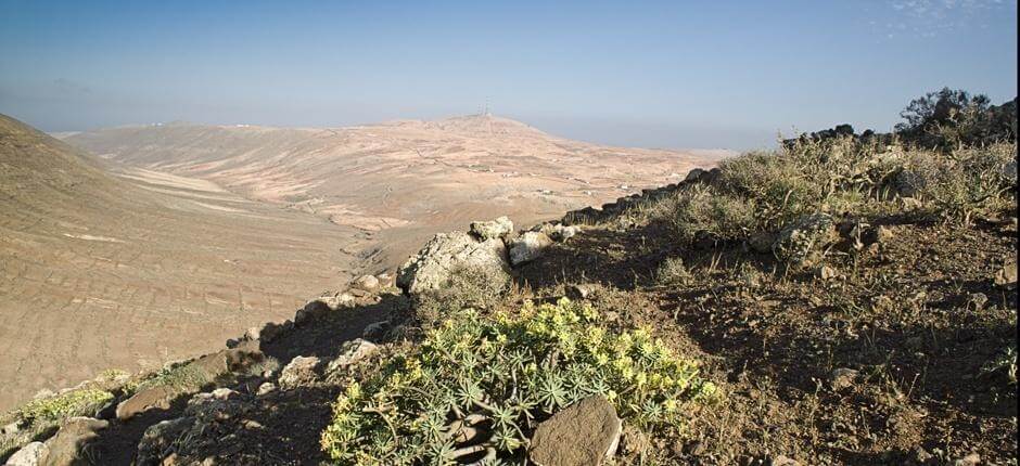 Vallebrón. Senderos de Fuerteventura
