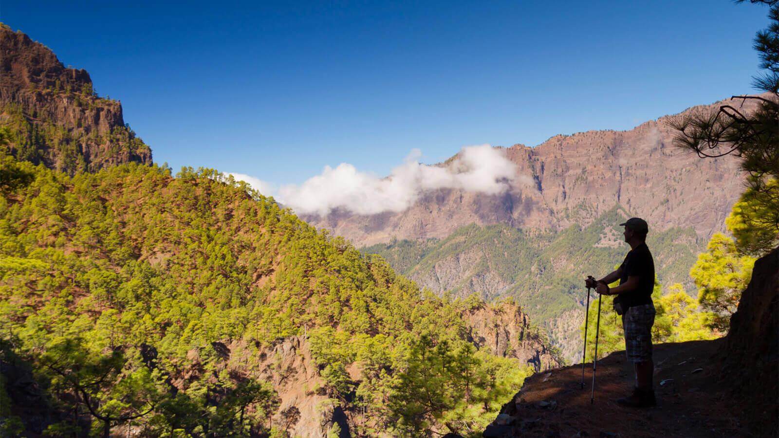 Parque Nacional de la Caldera de Taburiente. La Palma.