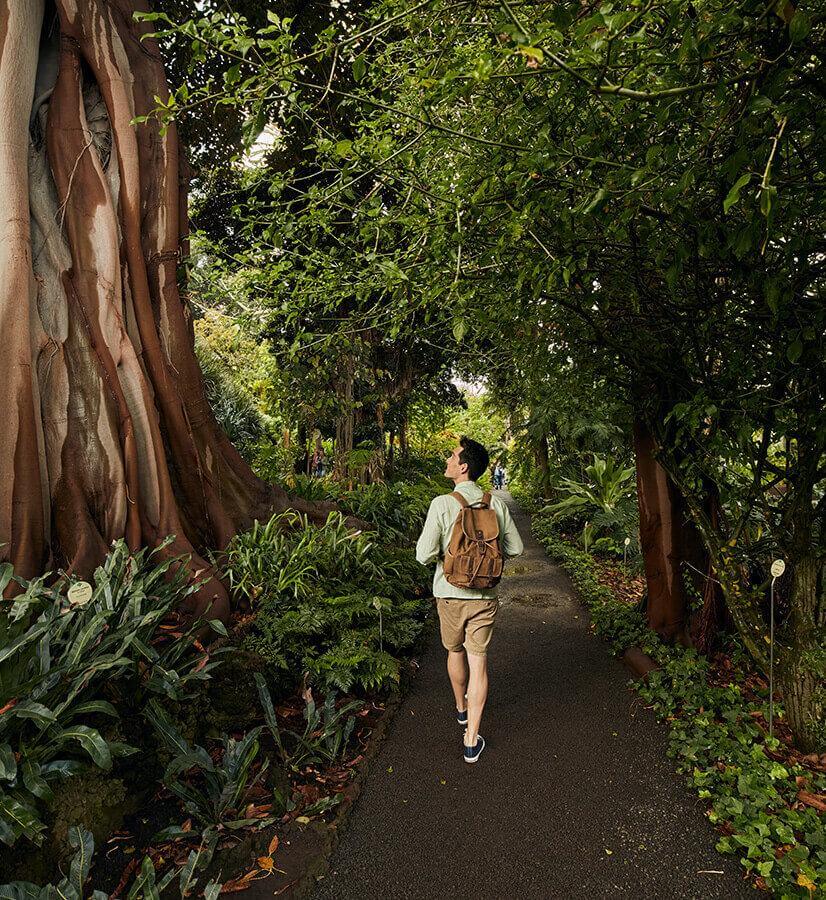 Jardín Botánico del Puerto de La Cruz. Tenerife.