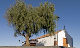 Ermita de Nuestra Señora de La Esperanza