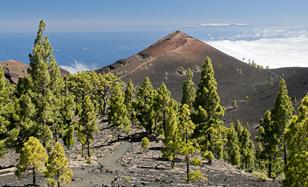 Volcán Martín