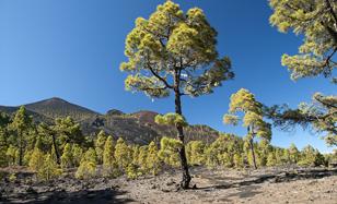 Montaña del Fuego