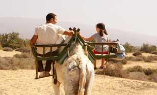 Paseo en Camello por las Dunas de Maspalomas