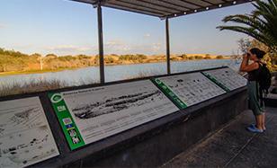 Observación de aves en la Charca de Maspalomas