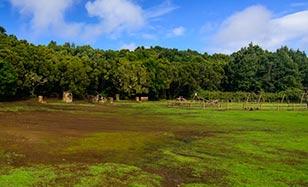 Zona recreativa de Laguna Grande